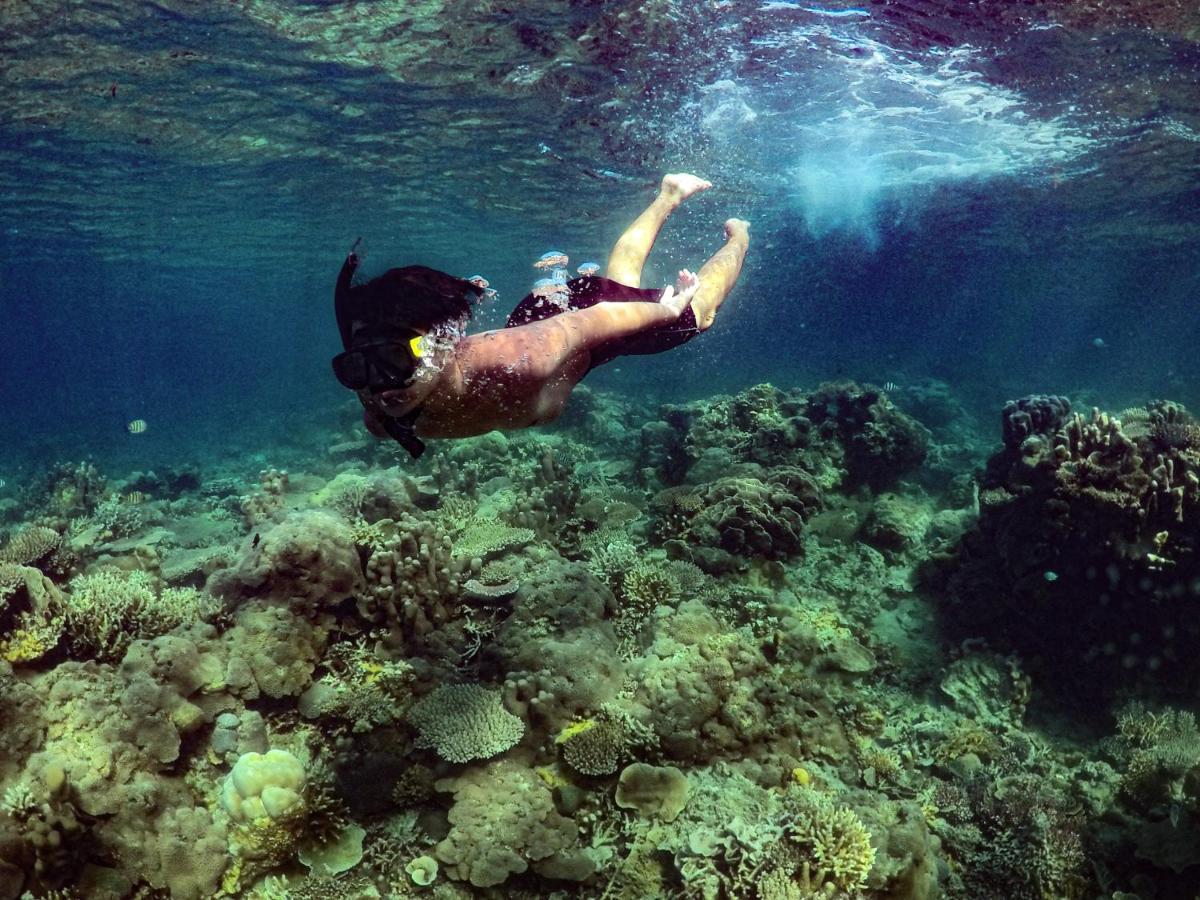 Asta Homestay Îles Îles Karimunjawa Extérieur photo
